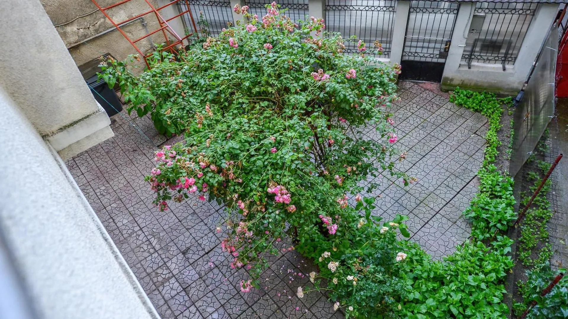 Apartament Royal Accommodation Bucureşti România