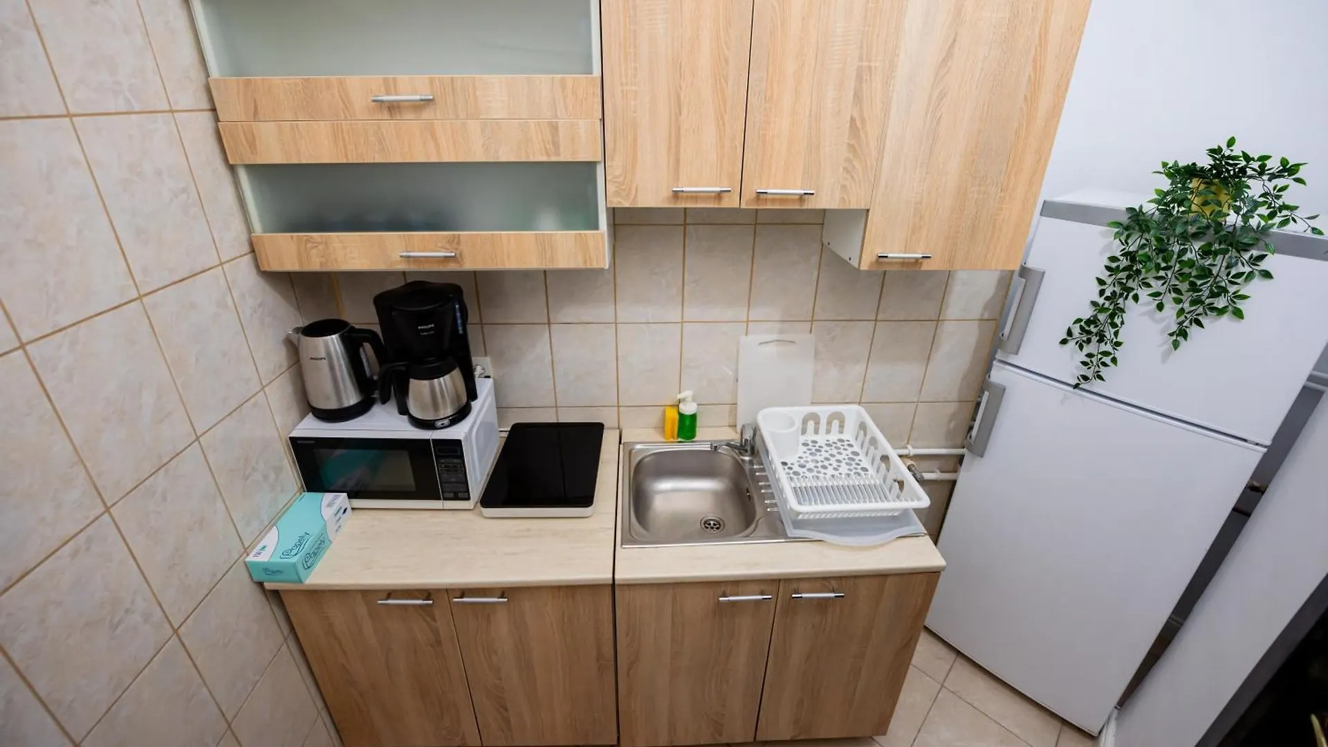 Royal Accommodation Bucureşti